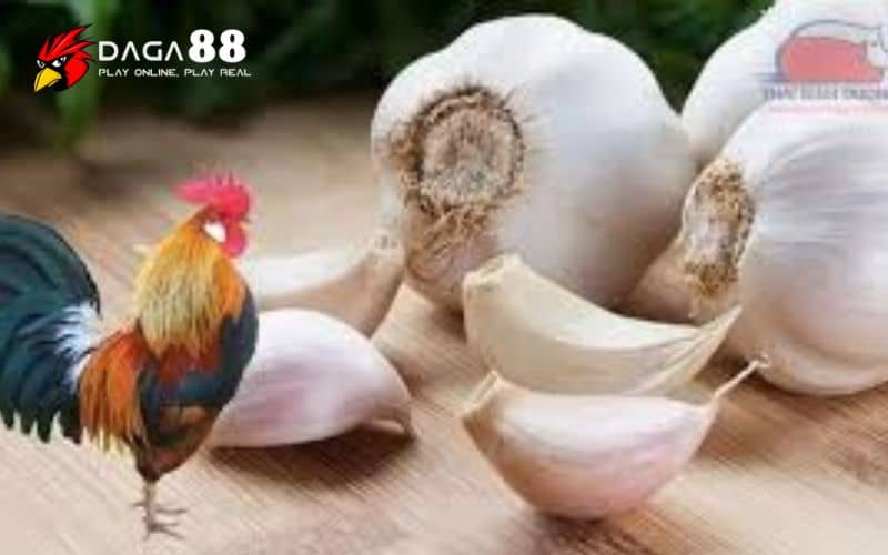 Biện pháp an ninh và phòng bệnh Biện pháp an ninh và phòng bệnh