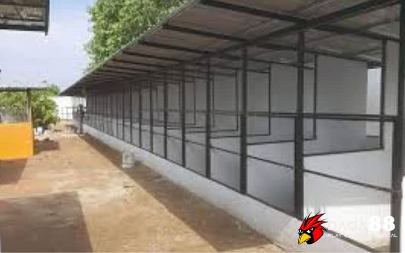 Chọn vị trí đặt chuồng Chọn vị trí đặt chuồng