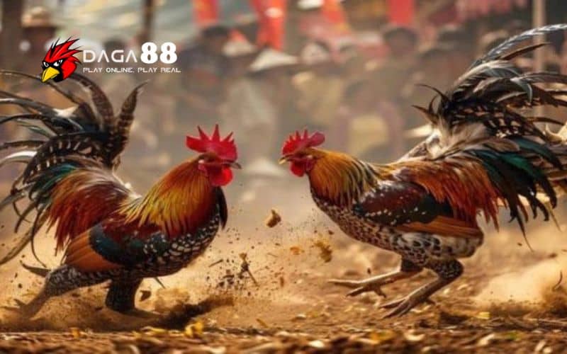 Hướng dẫn chọn ngày lành tháng tốt khi thi đấu Hướng dẫn chọn ngày lành tháng tốt khi thi đấu