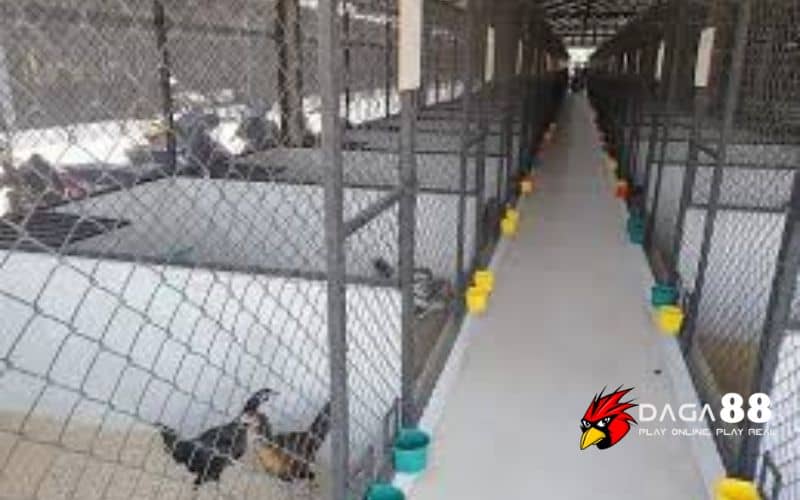 Thiết kế kích thước và cấu trúc Thiết kế kích thước và cấu trúc