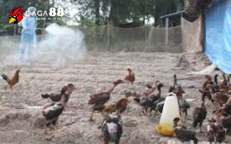 Vệ sinh và bảo trì Vệ sinh và bảo trì