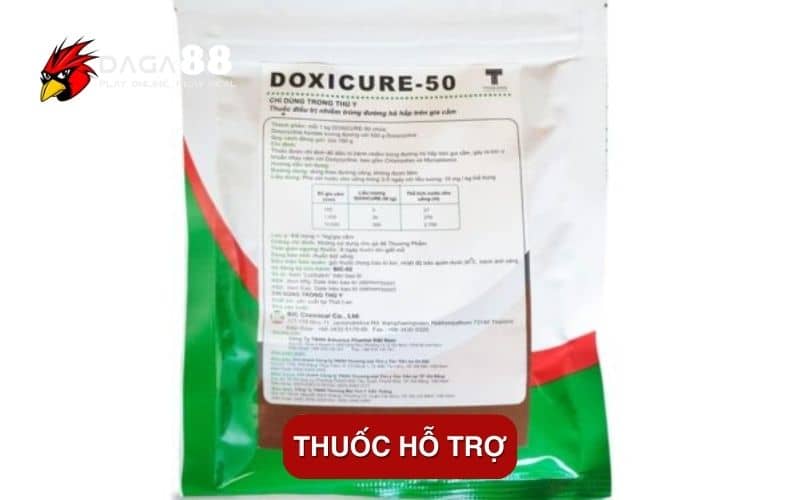 Bệnh Newcastle Ở Gà - Nguyên Nhân Và Cách Điều Trị Hiệu Quả Thuốc hỗ trợ